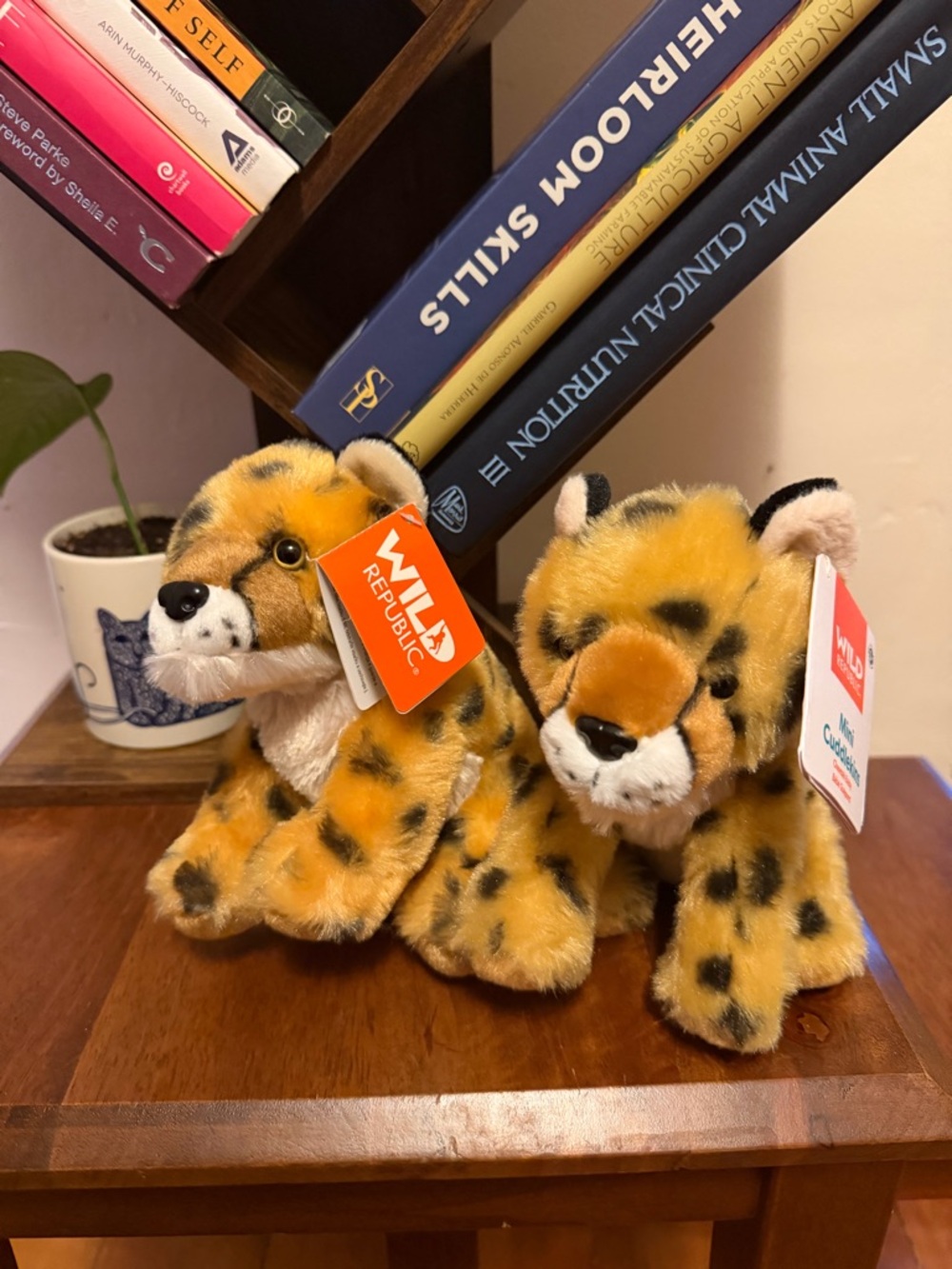 Wild Republic Plush Cheetahs
